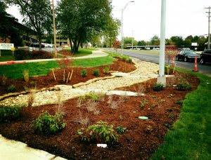 Strom drain landscaping at Stadium and Old 63