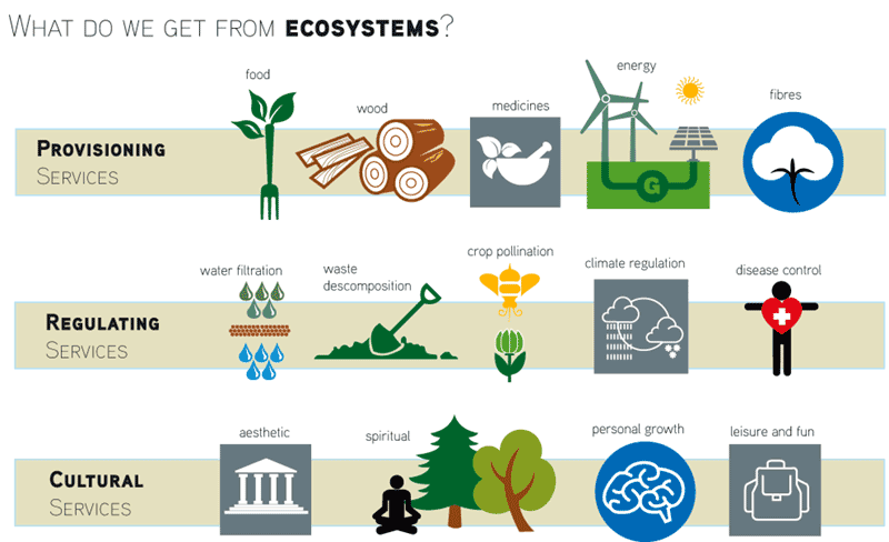 Chart Detailing Urban Ecosystems benefits