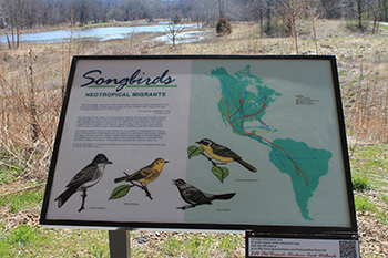 Songbirds sign at 3M Wetlands