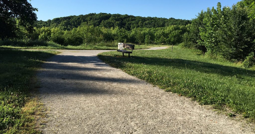 Forum Wetland Trails