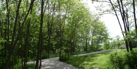 Highpointe Park Trail