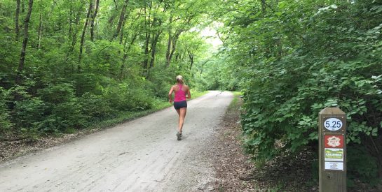 MKT Nature and Fitness Trail - Trail Page - City of Columbia Missouri