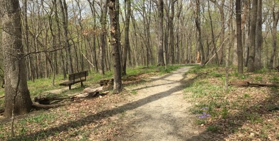 Oakwood Hills Park Trail