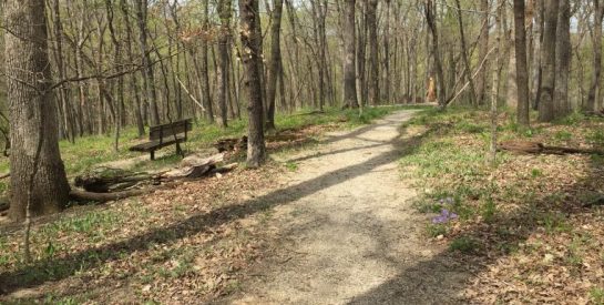 Oakwood Hills Park Trail with Wooden Bench