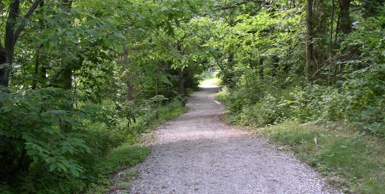 Rothwell Park Trail