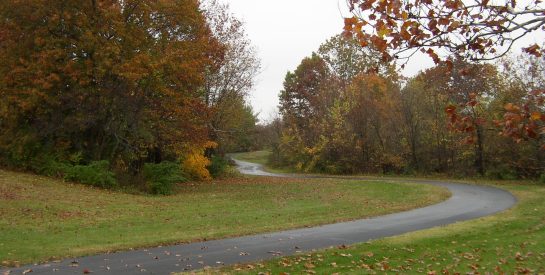 hard surface trail at Cosmo Park