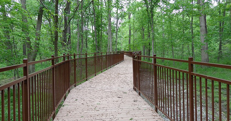 Dublin Park Scotts Branch Trail Boardwalk