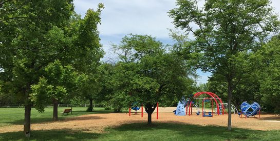 Shepard Boulevard Park Playground