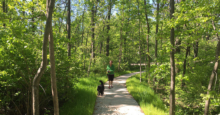 Walking the dog at Woodridge Park Trail.