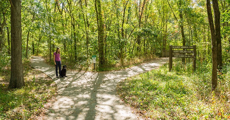 Albert Park trail