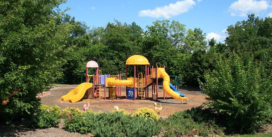 Albert Oakland Park Playground