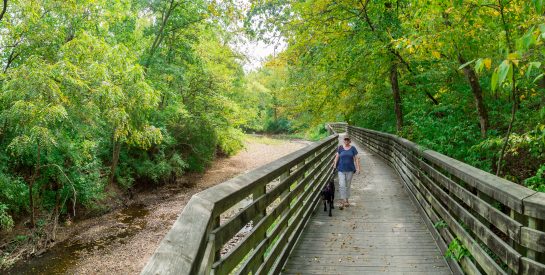 Women walking on trail