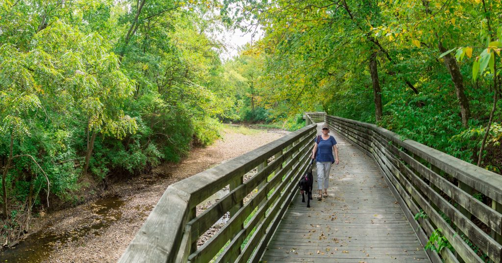 Bear Creek Trail Boardwalk