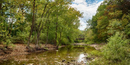 Capen Park Hinkson Bridge over the creek