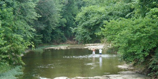 Hinkson Creek at Capen Park