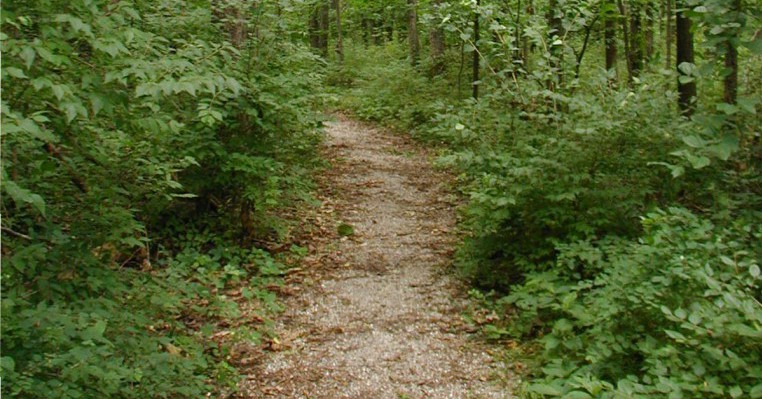 Fairview Nature Trail