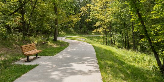 Grindstone Creek Trail in Summer