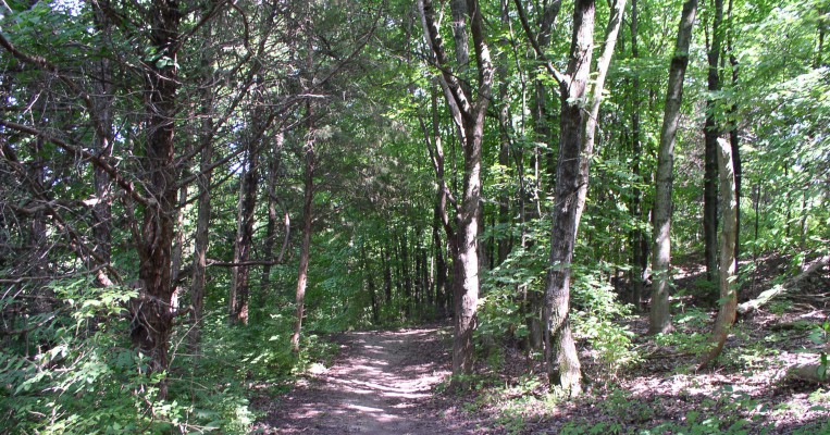 Cosmo Nature Trail