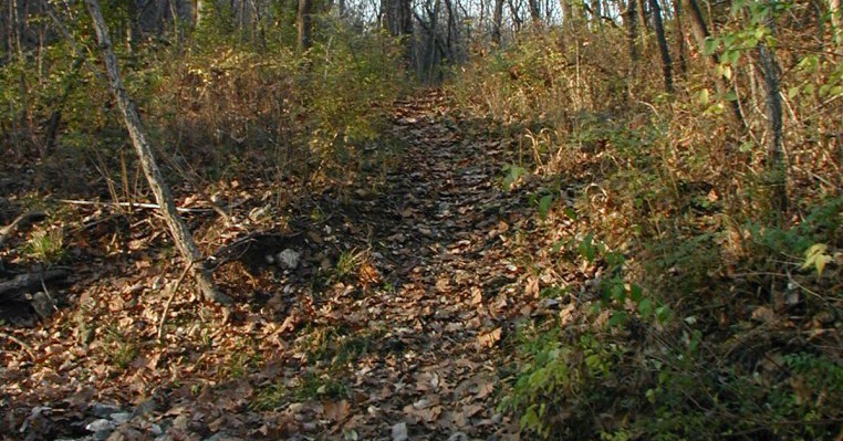 Proctor Park Trail