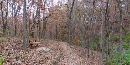 Wilson Park Trail