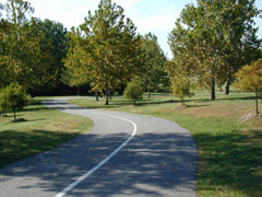 Cosmo Fitness Trail