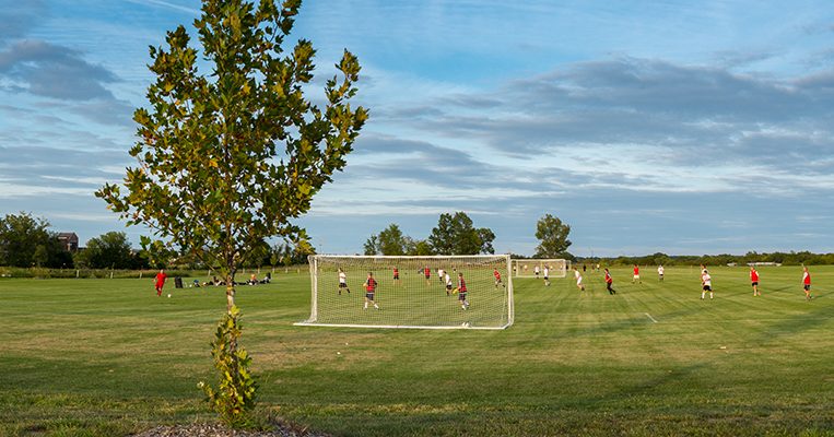 Gans Creek Recreation Area multipurpose fields